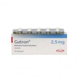 Гутрон таблетки 2,5 мг. №20 в Смоленске и области фото